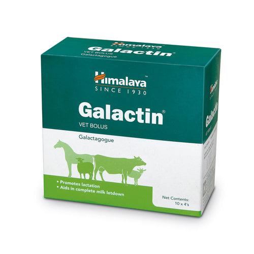 GALACTIN VET BOLUS