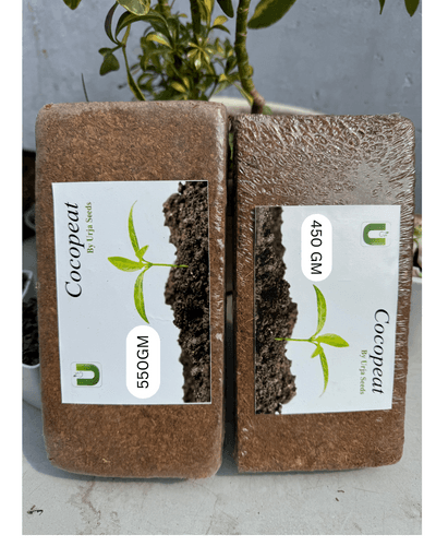 Coir Brick Small 450GMS