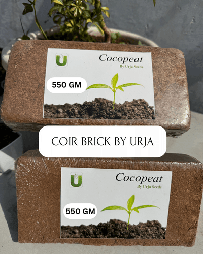 Coir Brick Large 550GMS