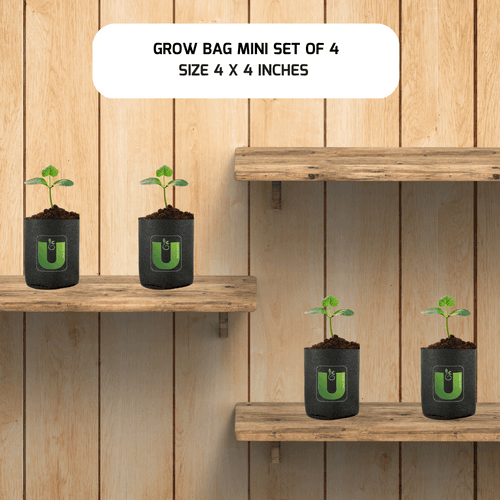 Grow Bag Mini - (4"X4") Set of 4