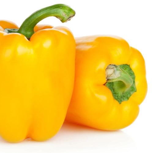 Capsicum Seeds F-1 Hybrid Yellow