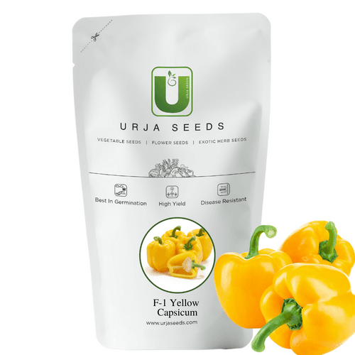 Capsicum Seeds F-1 Hybrid Yellow