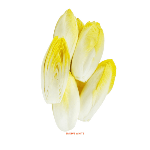 Endive White