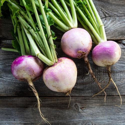 Turnip Seeds Purple Top White