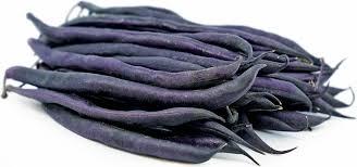 Beans Purple Seeds Kitchen Garden Packaging