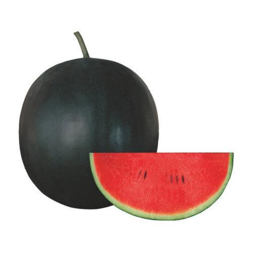 Watermelon Seeds F-1 Hybrid US-888 Sugar Baby Type (Imp)