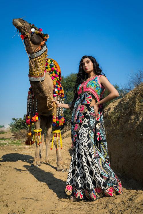 Black & White Kali Saree with Pop Colour Border