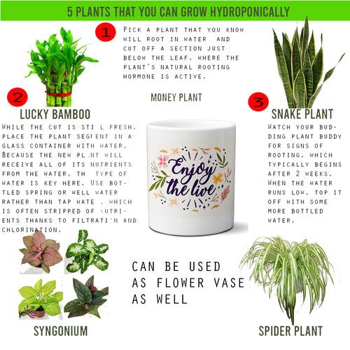 Multi-use hydroponic planter / flower vase | 11 oz | digitally printed | Desktop planter/vase | Home Garden Office Decoration | Best Gift| enjoy planter/vase