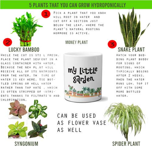 Multi-use hydroponic planter / flower vase | 11 oz | digitally printed | Desktop planter/vase | Home Garden Office Decoration | Best Gift| my ittle garden planter/vase