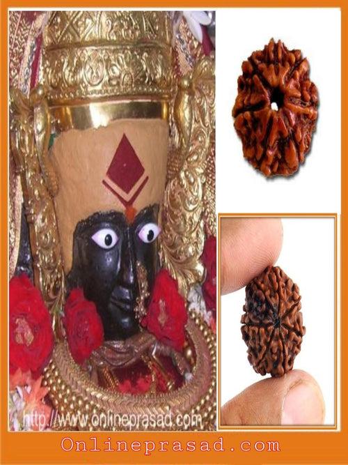 Mahalakshmi Prasad + 7 Mukhi Dhanprapti Rudraksha