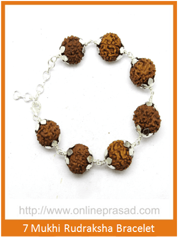 7 Mukhi Rudraksha Bracelet / Mahalaxmi Bracelet