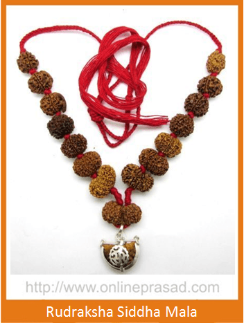 Rudraksha Siddha Mala / 1-14 Mukhi Gauri Shankar & Ganesh Rudraksha with Silver Capping - Nepali