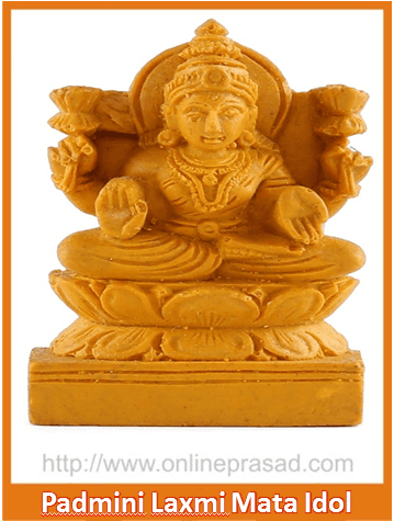 Padmini Laxmi Mata Idol