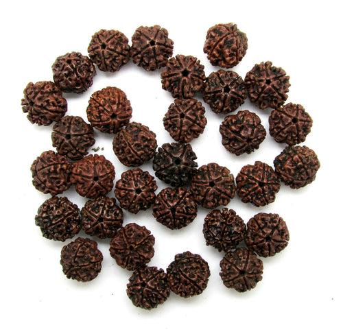5 Mukhi Rudrakskha lot - 31 beads