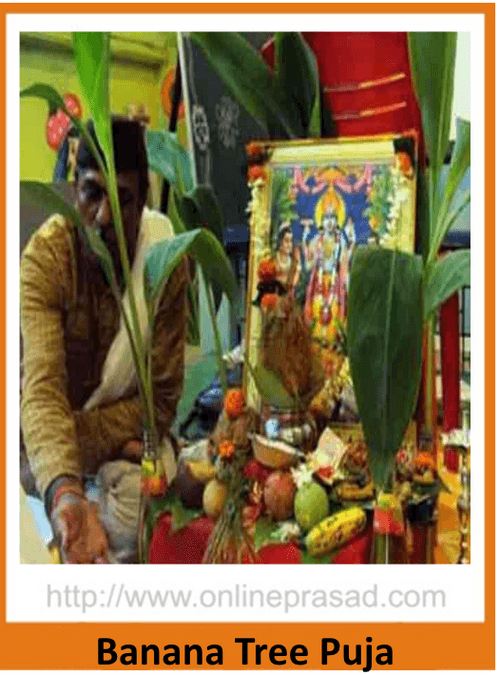 Banana Tree Puja