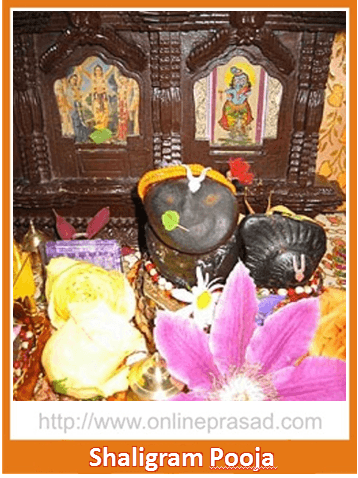 Shaligram Puja