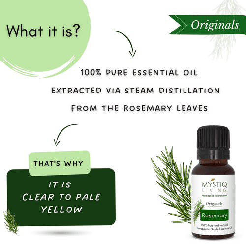 Rosemary Essential Oil for Hair Growth, Skin and Aromatherapy