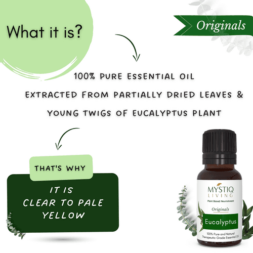 Eucalyptus Essential Oil for Skin, Hair, Relieves Cold and Cough