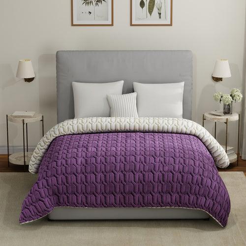 Fluffy & Heavy 200 GSM Microfiber Reversible Quilted Winter Comforters - Plum & Pearl