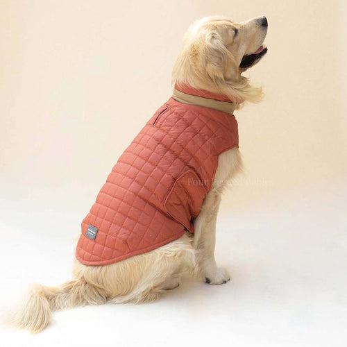 Quilted Dog jacket Coral