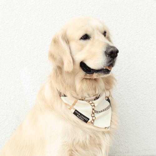 Seamless gold bandana