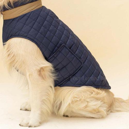 Quilted Dog jacket Royal blue