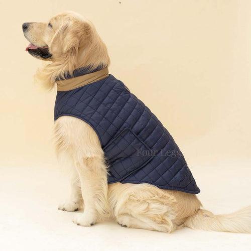 Quilted Dog jacket Royal blue