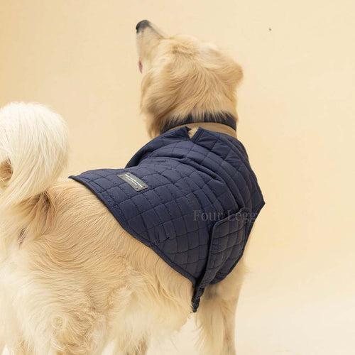 Quilted Dog jacket Royal blue