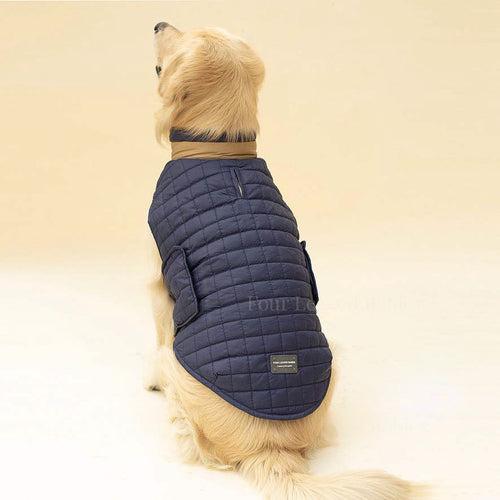 Quilted Dog jacket Royal blue