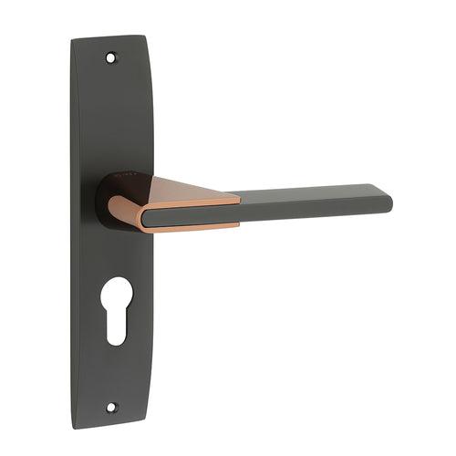 IPSA Tan Iris Handle Series on 8" Plate CYS Lockset with 60mm Both Side Key - Matte Finish BRG