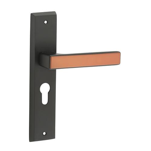 IPSA Teal Iris Handle Series on 8" Plate CYS Lockset with 60mm Both Side Key - Matte Finish BRG