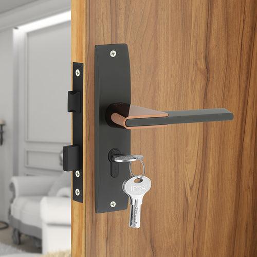 IPSA Tan Iris Handle Series on 8" Plate CYS Lockset with 60mm Both Side Key - Matte Finish BRG