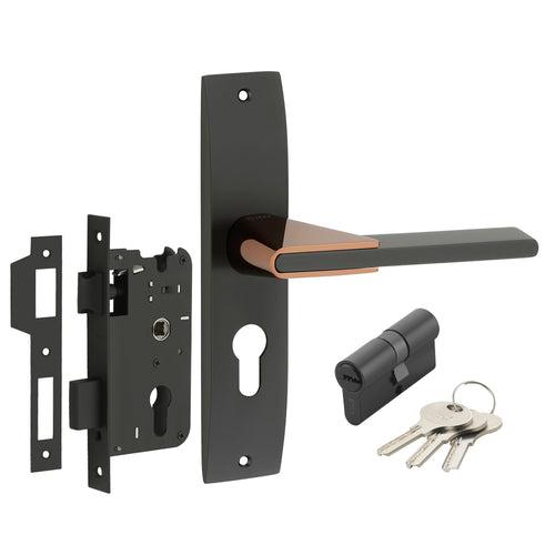 IPSA Tan Iris Handle Series on 8" Plate CYS Lockset with 60mm Both Side Key - Matte Finish BRG