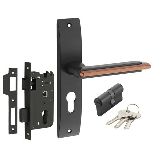 IPSA Lead Iris Handle Series on 8" Plate CYS Lockset with 60mm Both Side Key - Matte Finish BRG