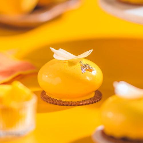 Mango Entremet