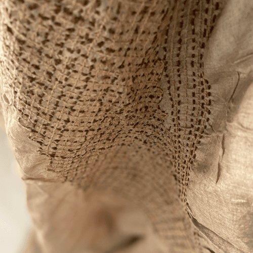 Natural Dyed Textured Saree 2