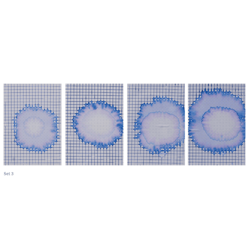 Teja Gavankar: Patterns of Intercity I, II, III