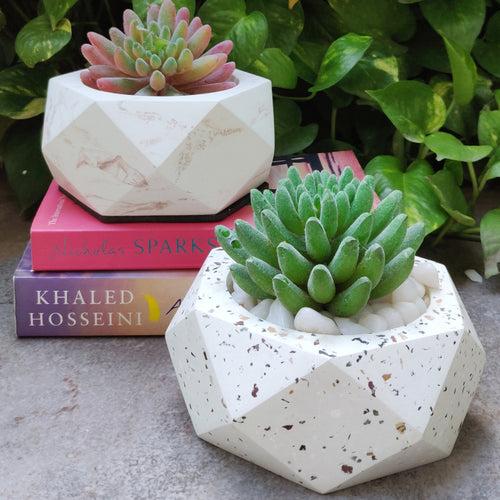 Stella Planter - Terrazzo