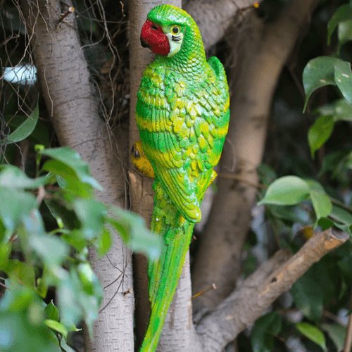 Green Wall Parrot Garden Decor