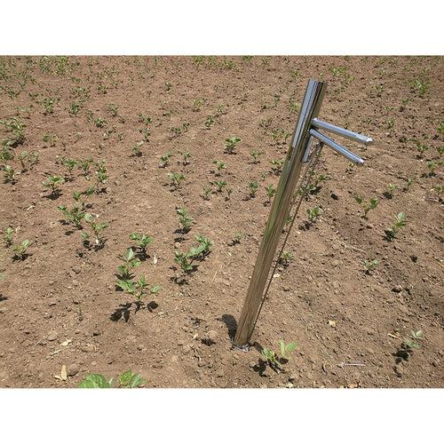 Hectare Seedlings Transplanter