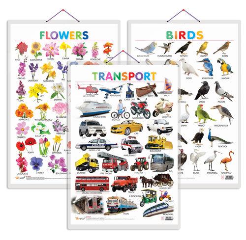 Set of 3 Birds, Flowers and Transport Early Learning Educational Charts for Kids | 20"X30" inch |Non-Tearable and Waterproof | Double Sided Laminated | Perfect for Homeschooling, Kindergarten and Nursery Students