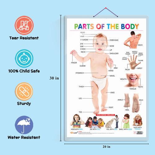 Set of 6 Shapes, Parts of the Body, Action Words, Numbers 1-10, TIME and PHONICS - 2 Early Learning Educational Charts for Kids