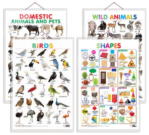 Set of 4 Domestic Animals and Pets, Wild Animals, Birds and Shapes Early Learning Educational Charts for Kids | 20"X30" inch |Non-Tearable and Waterproof | Double Sided Laminated | Perfect for Homeschooling, Kindergarten and Nursery Students