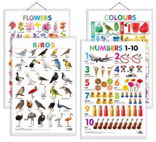 Set of 4 Birds, Flowers, Colours and Numbers 1-10 Early Learning Educational Charts for Kids | 20"X30" inch |Non-Tearable and Waterproof | Double Sided Laminated | Perfect for Homeschooling, Kindergarten and Nursery Students