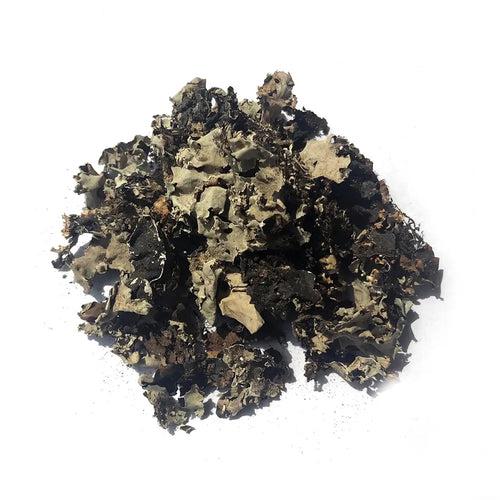 Kunjika Jadibooti Stone Flower Spice | Pathar Phool | Dagad Phool | Chhabila | Kalpasi Spice, Aromatic Spice - 75 gm