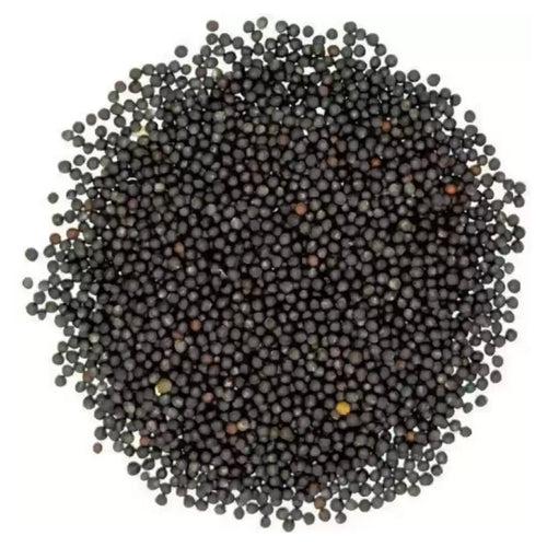 Kunjika Jadibooti Black Mustard Seeds Big | Black Mustard Rai Seeds Big | Kali Sarson Dana | Sarson dana | Gluten Free | Indian Spices & Masala - 100 gm