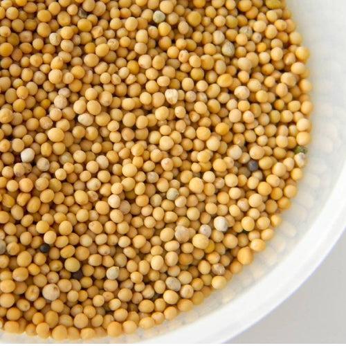 Kunjika Jadibooti Yellow Mustard Seeds / Peeli Sarson Pesticides Free | Indian Spices & Masala| Indian Spices & Masala - 200 gm