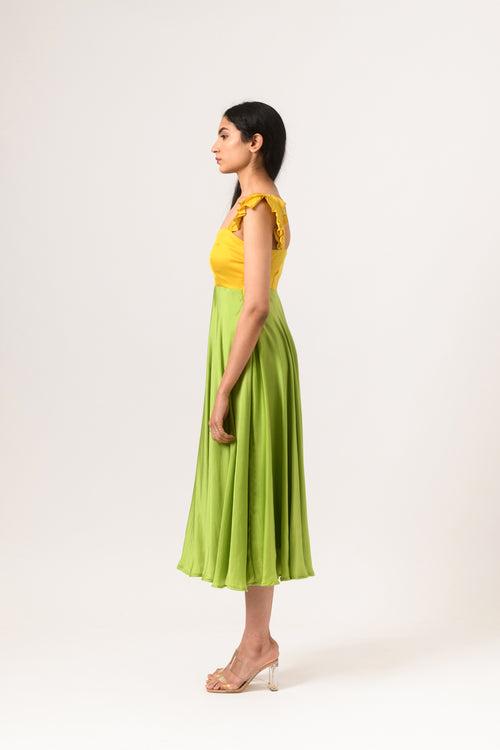 Yellow-Green Umbrella Dress