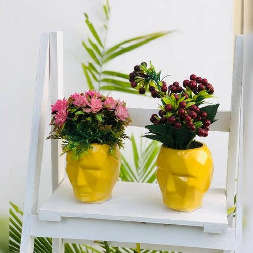 3D Face Planter | Table Planter | Ceramic pots Online | Set Of 2 | Available Colour- Green, Yellow and White  | Size:- 14CM X 11CM