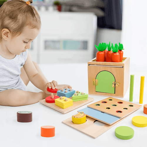 6 in 1 Montessori Box - Early Education